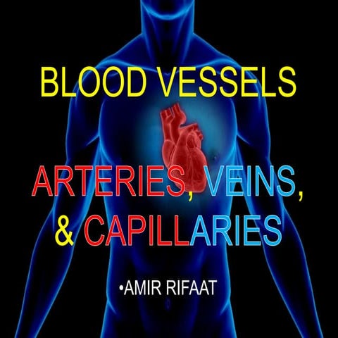 Blood vessels: Arteries, Veins and Capillaries