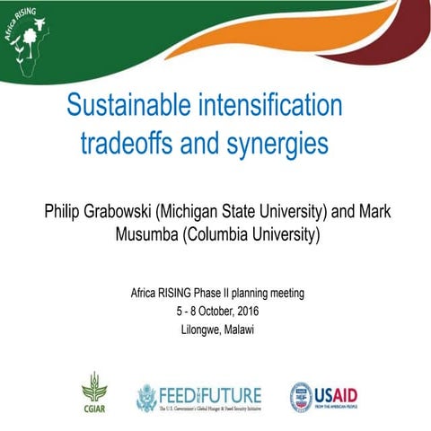 Sustainable intensification tradeoff and synergies