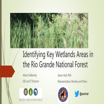 2016 conservation track:  identifying key wetlands areas in the rio grande na...