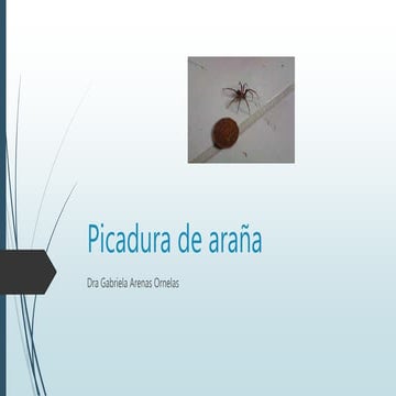 Araña