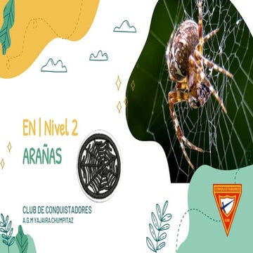 ESPECILIDAD DE ARAÑAS - AGM Yajaira Chumpitaz APCE.pptx