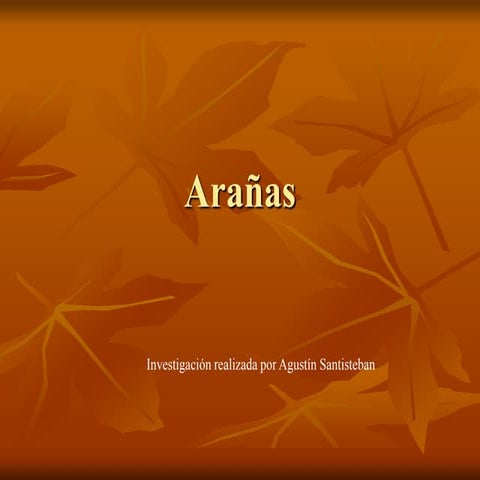 Arañas por agus s