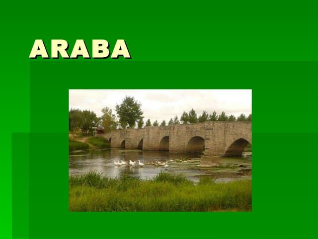 Araba Fisikoa