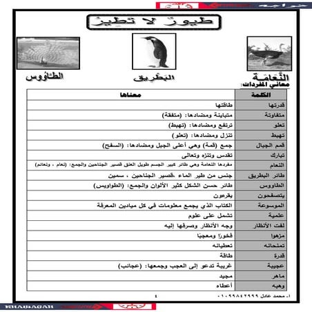 Arabic school-books-4th-primary-2nd-term-khawagah-2019-6