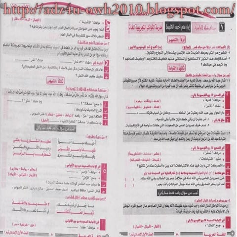 Arabic tests 1 prep