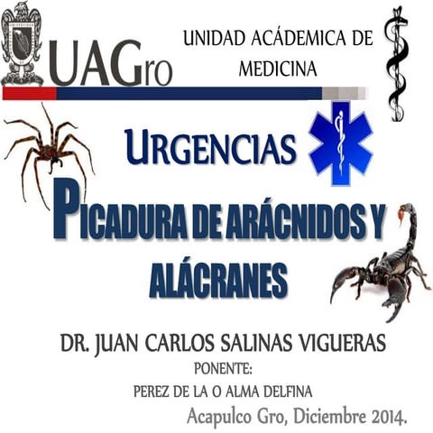 PICADURA DE ARÁCNIDOS (ALACRANES Y ARAÑAS) URGENCIAS.