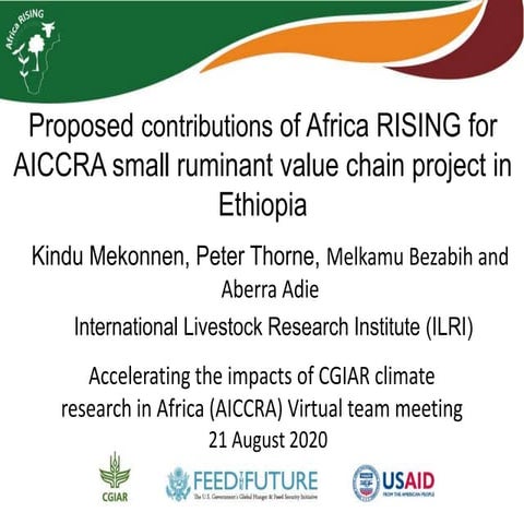 Proposed contributions of Africa RISING for AICCRA small ruminant value chain...
