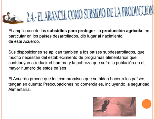 Arancel Como Subsidio | PPTX