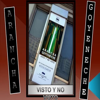 Arancha Goyeneche:  Visto y no visto