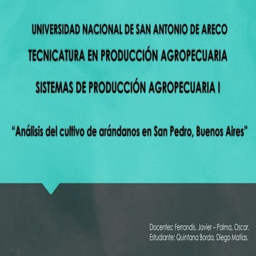 Arandanos presentación sobre el sistema de producción