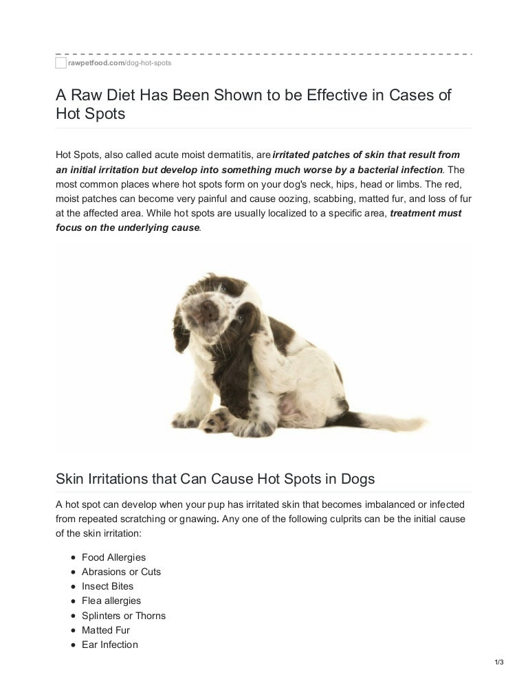 dog food for hot spots