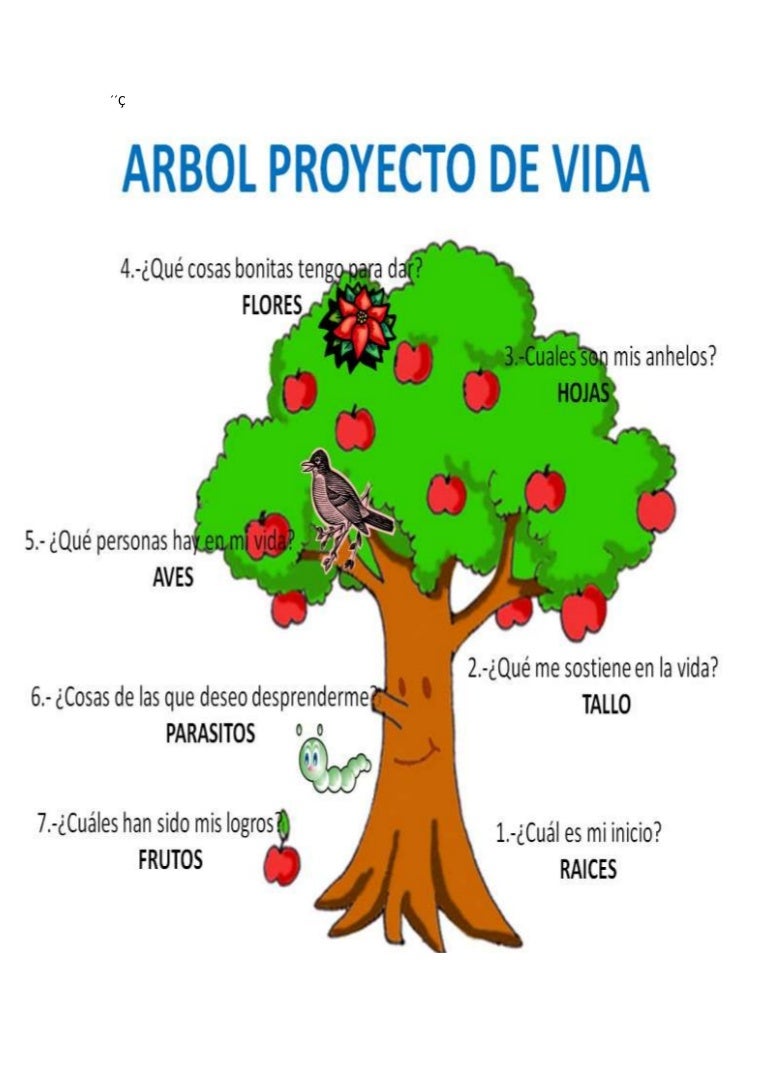 ÁRBOL PROYECTO DE VIDA