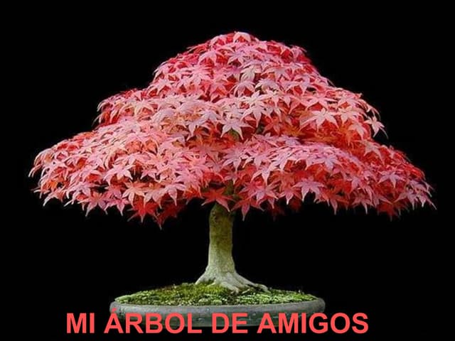 Arbol de amigos (hojas)