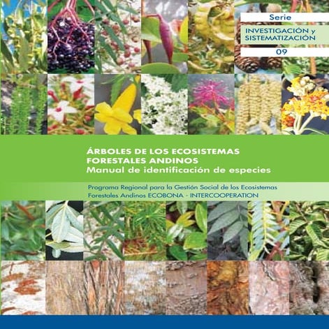 Arboles de los ecosistemas forestales andinos