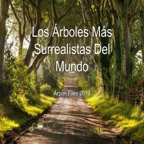 Arboles maravillosos