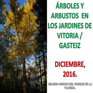 Arboles  vitoria al iii