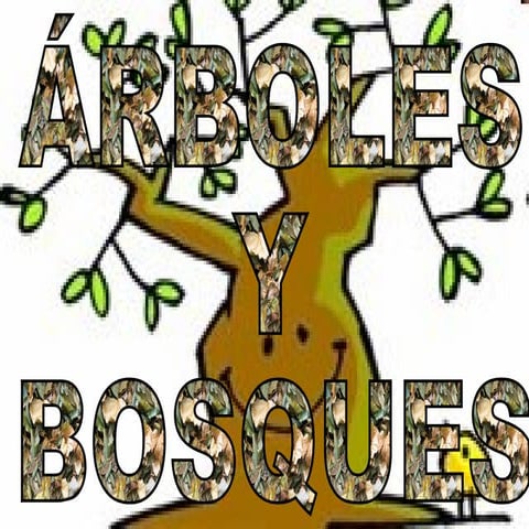 Arboles y bosques