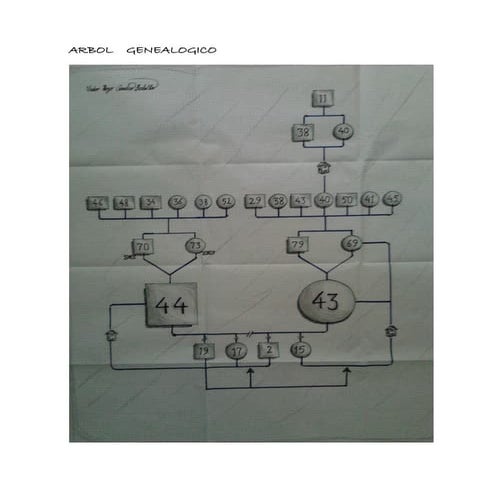 Arbol    genealogico