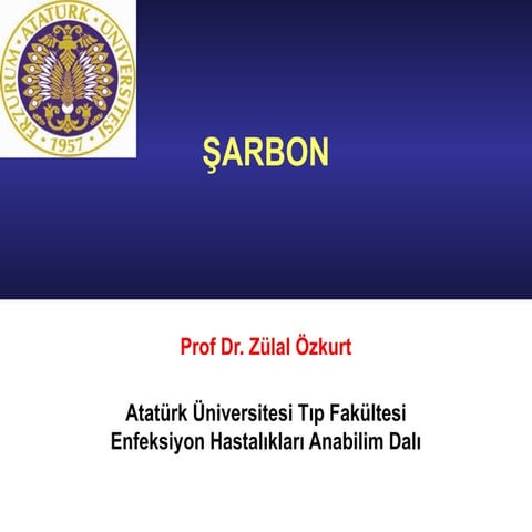 Şarbon slayt sunum ders enfeksiyon slides