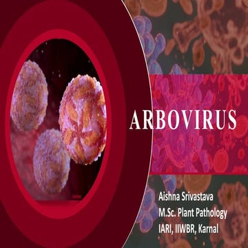 Introduction to ARBOVIRUS AND BACULOVIRUS