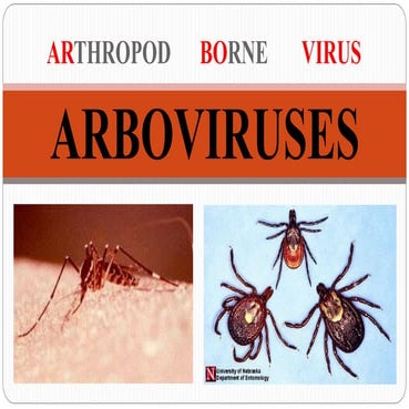 Arboviruses 