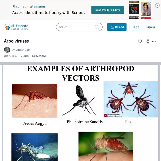 Arbo viruses  microbiology class PPT.pdf