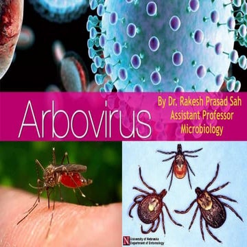 Arbo Virus  by Dr. Rakesh Prasad Sah