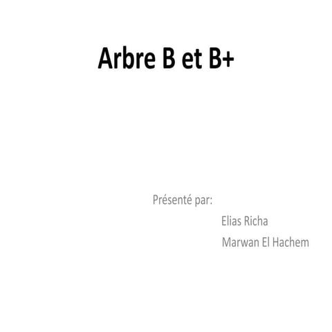 Arbre b (par EL HACHEM Marwan et RICHA Elias)