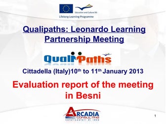 Arcadia consulting evaluation report besni