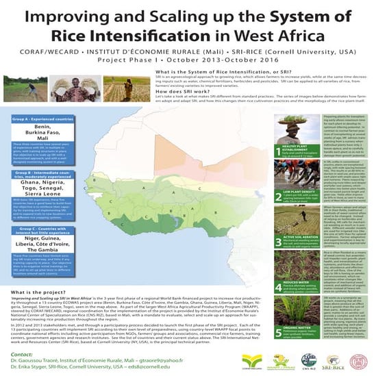1324 - Improving and Scaling up the System of Rice Intensification in West Af...