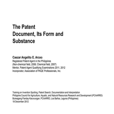 Patent Document, Its Form and Substance