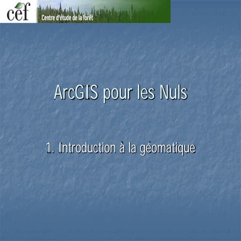 ArcGIS_EF1 (1).pdf