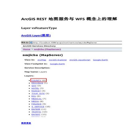 ArcGIS REST Mapserver vs WFS | DOCX