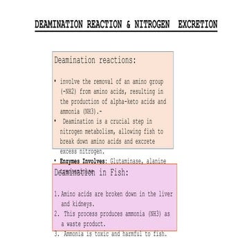 Archana and sakshi food chem deamination
