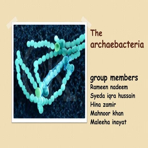 Archeabacteria presentation