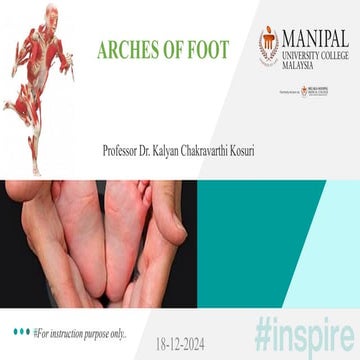 arches of foot: arches of foot and ligaments supporting it.pdf