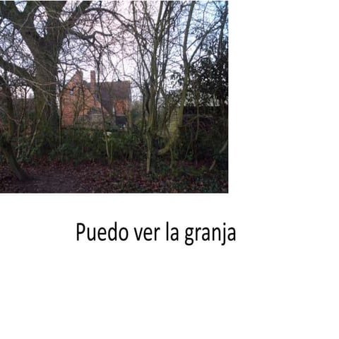 Francisco and matias | PDF