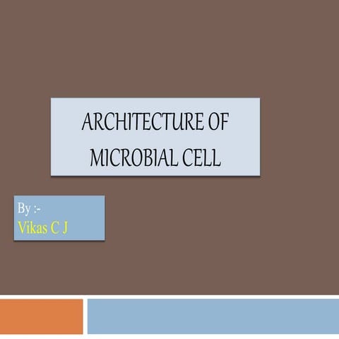 Architechture of microbial cell