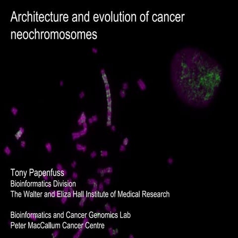 Architecture and evolution of neochromosomes | PPTX