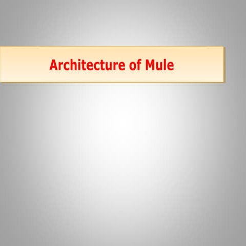 Architecture of mule