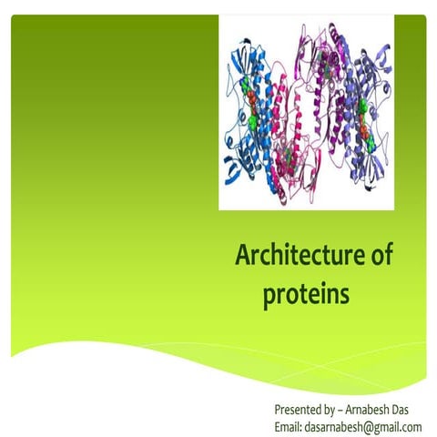Architecture of proteins