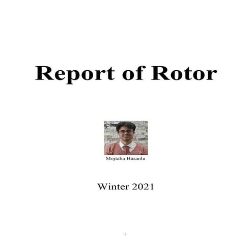 Report of Rotor
