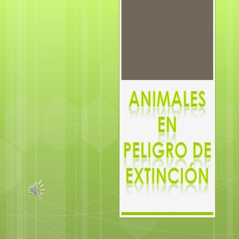 ANIMALES EN PELIGRO DE EXTINSION