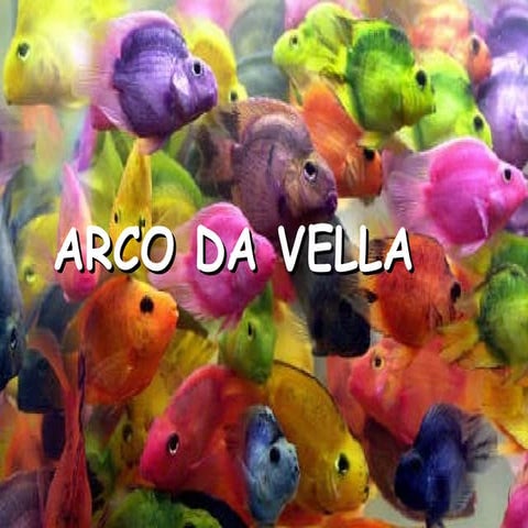 Arco Da Vella