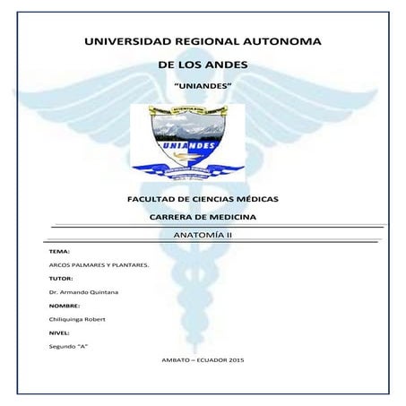 Arcospalmaresyplantares 150625221309-lva1-app6892