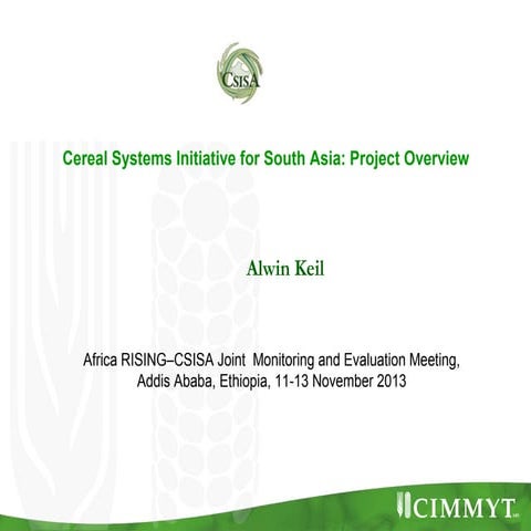 Cereal systems initiative for South Asia: Project overview