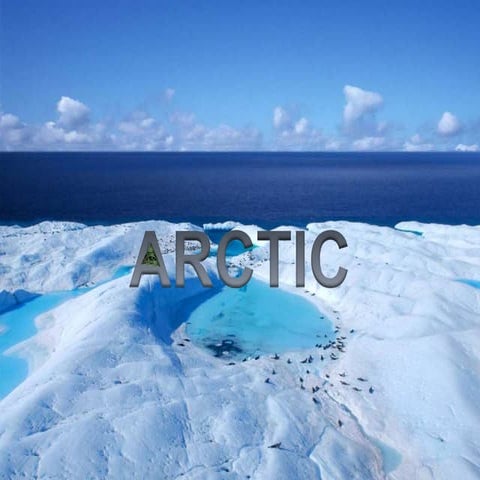 Arctic (1)