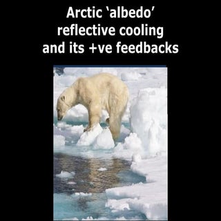 Arctic albedo loss and feedbacks