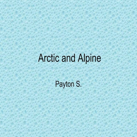 Arctic And Alpine Stinson