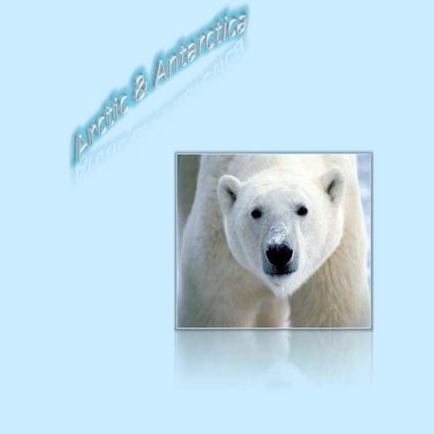 Arctic & antartica